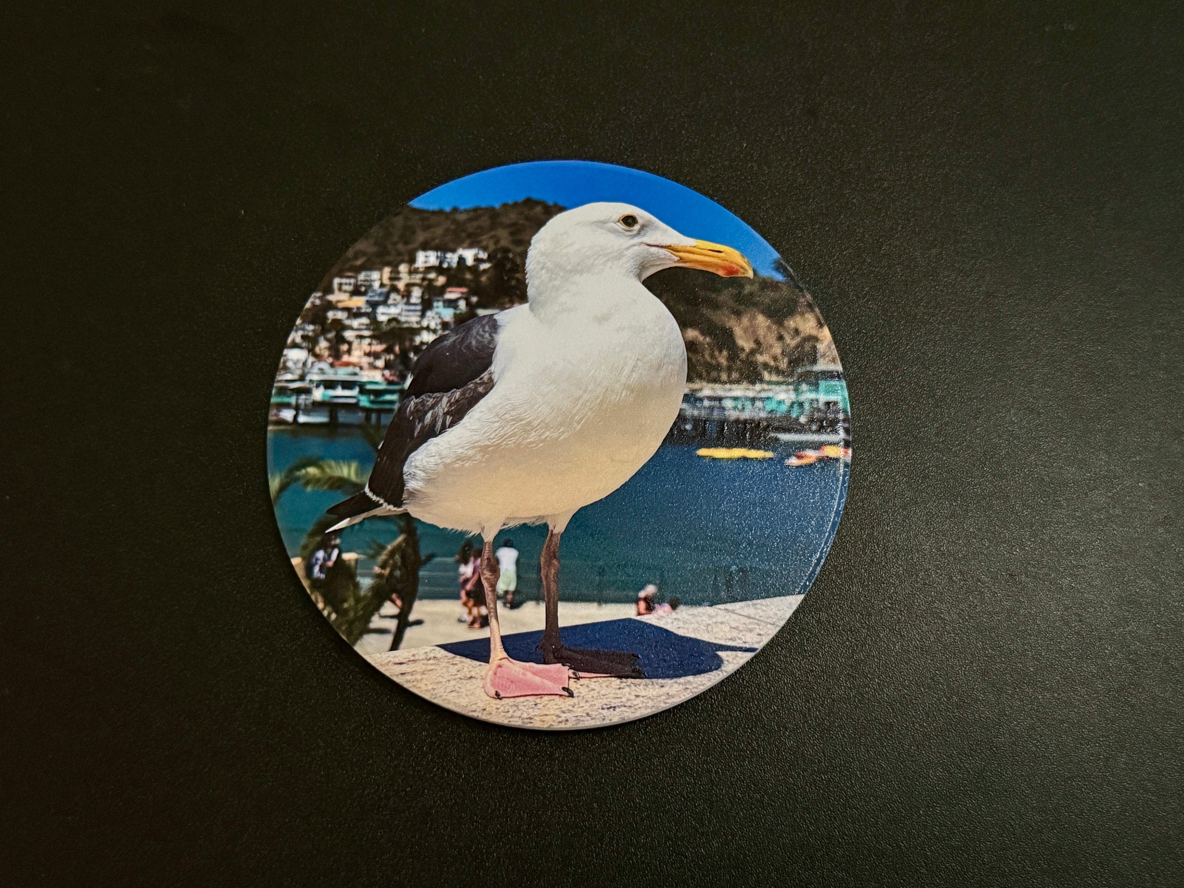 4" Ceramic Coaster - Seagull