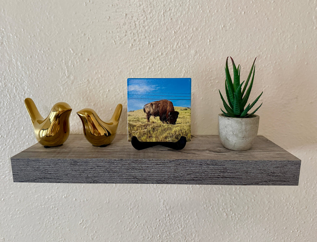 4" Ceramic Coaster - Bison
