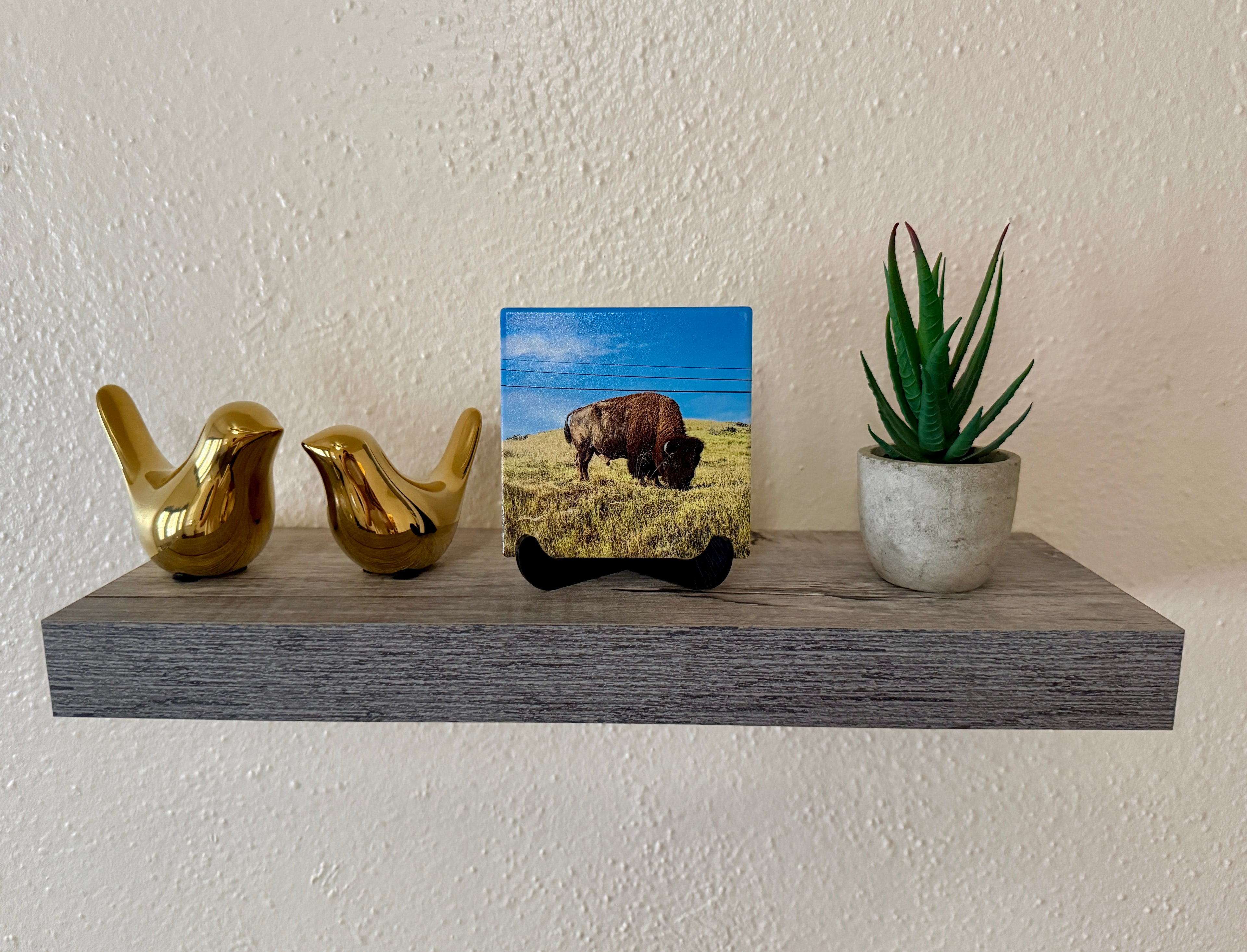 4" Ceramic Coaster - Bison