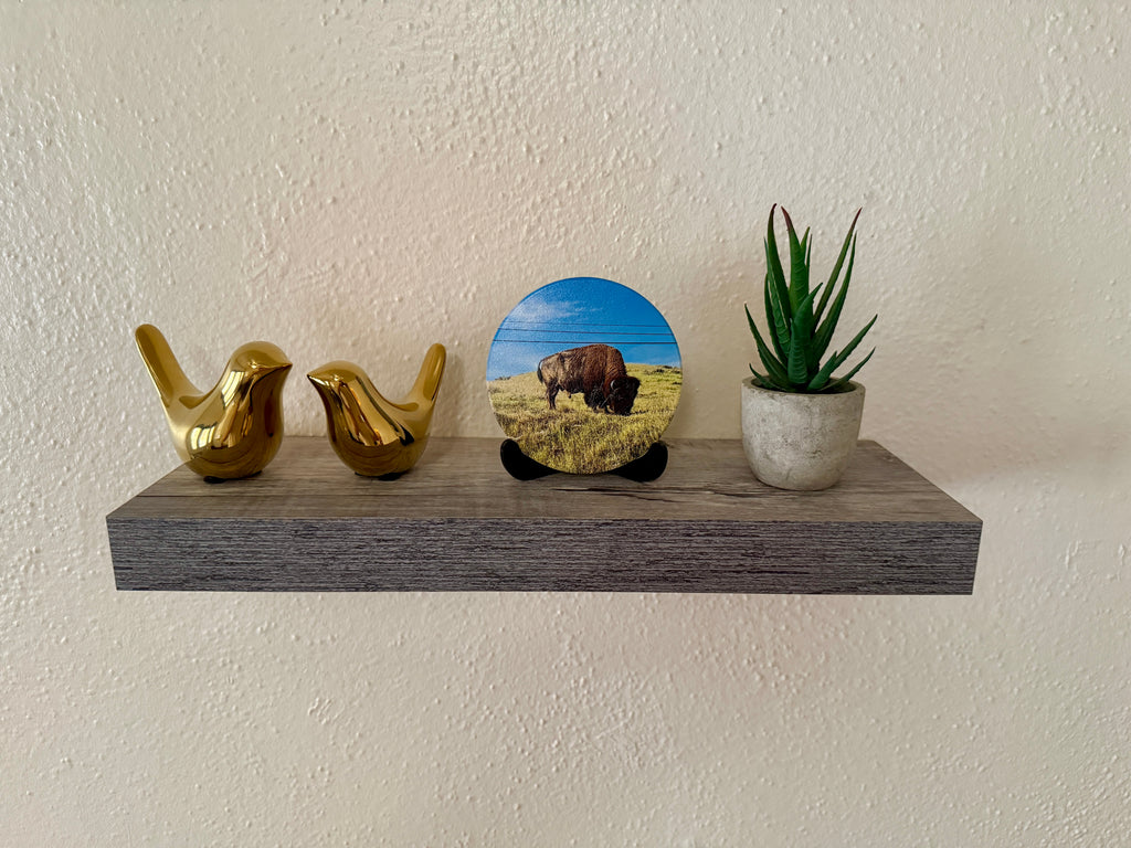 4" Ceramic Coaster - Bison