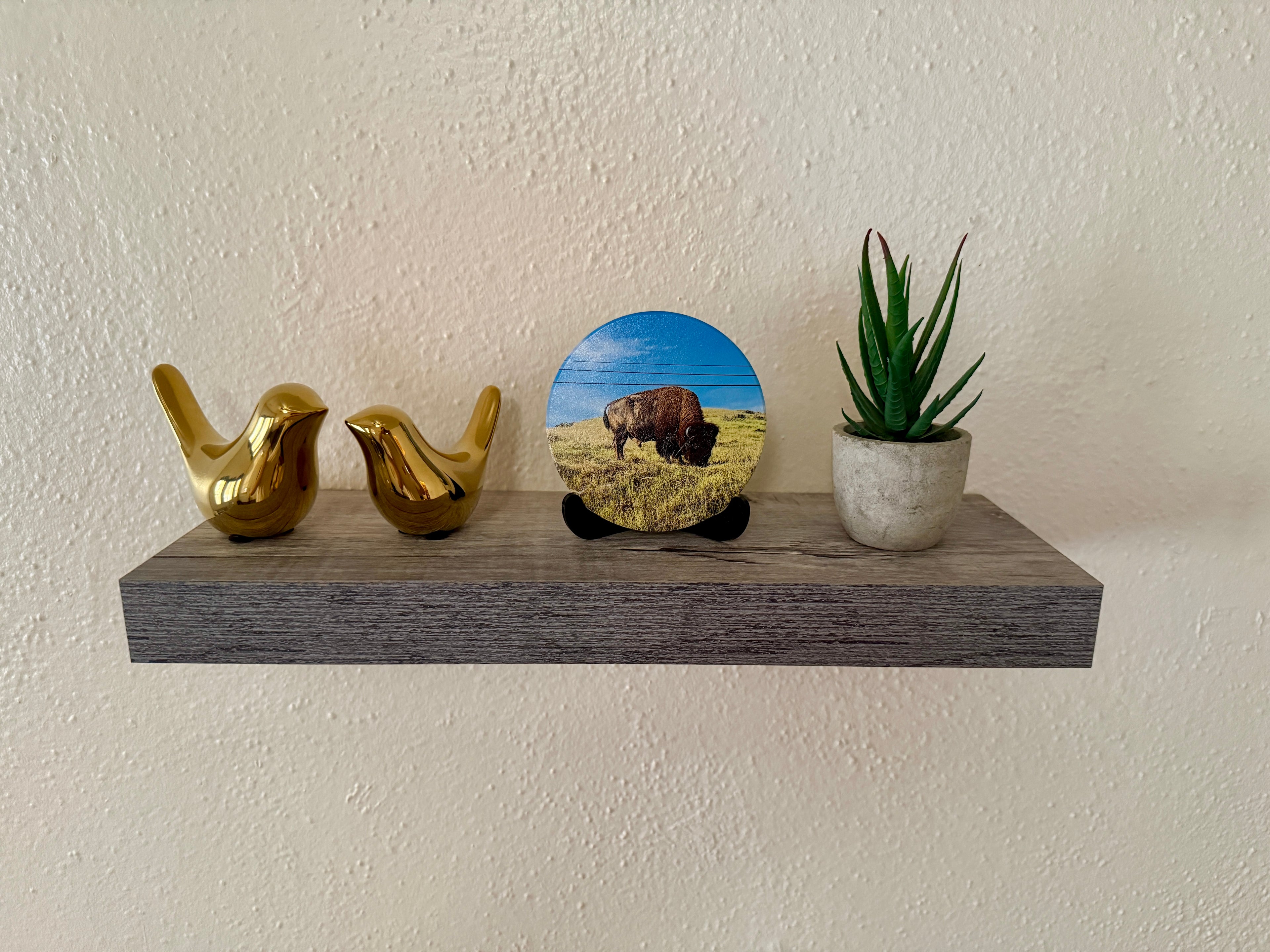 4" Ceramic Coaster - Bison