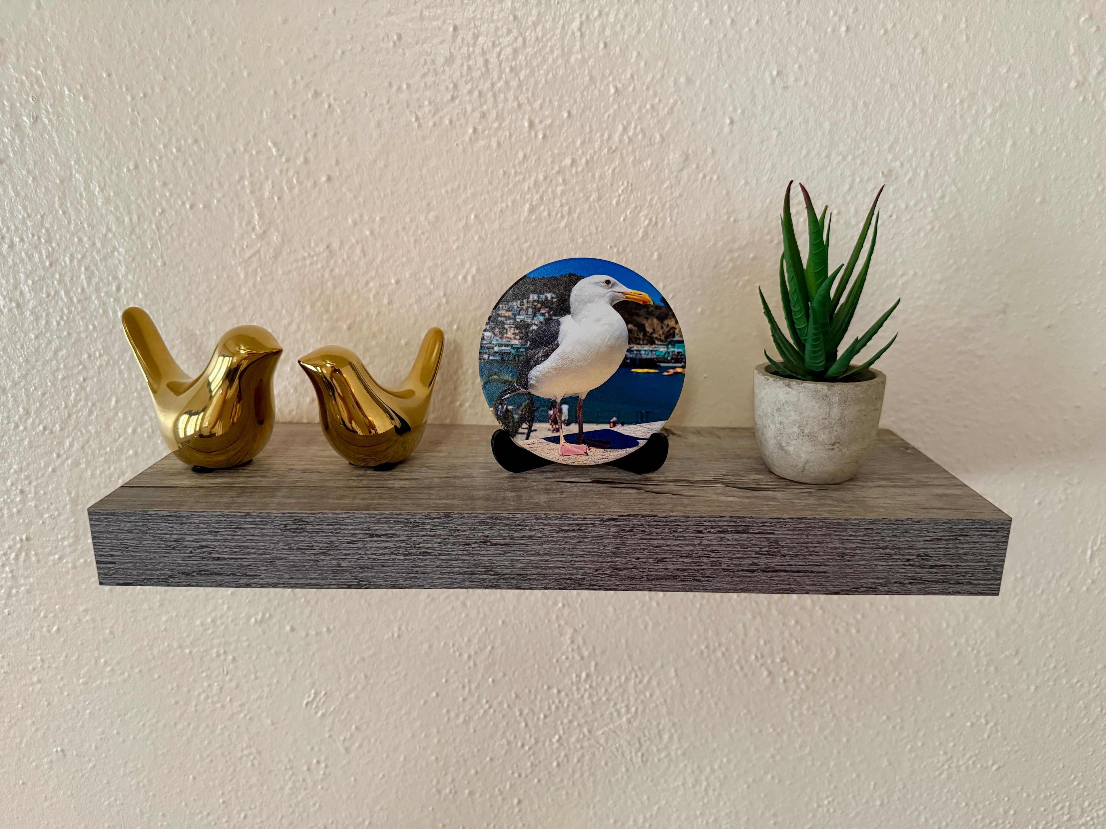 4" Ceramic Coaster - Seagull