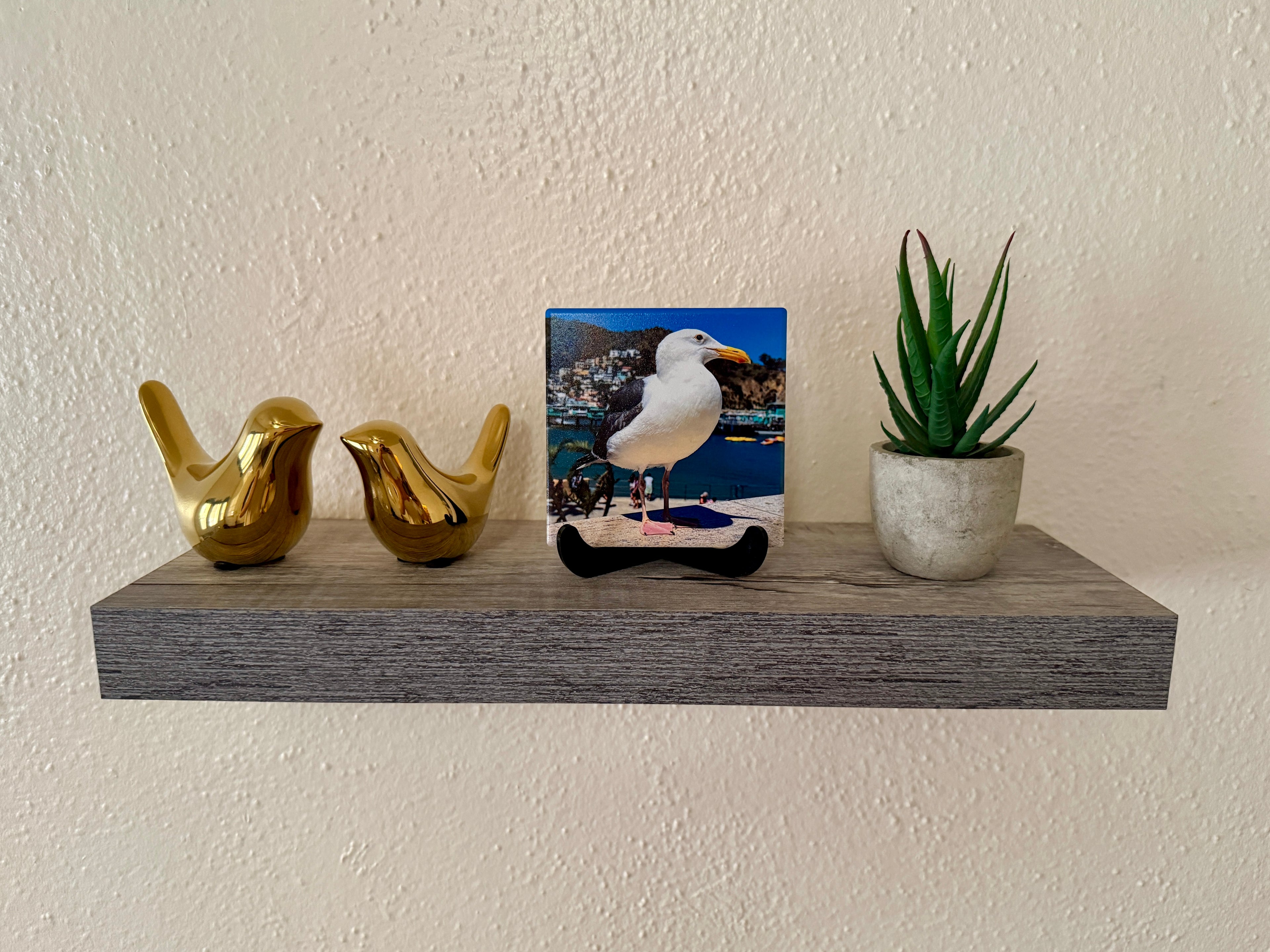 4" Ceramic Coaster - Seagull