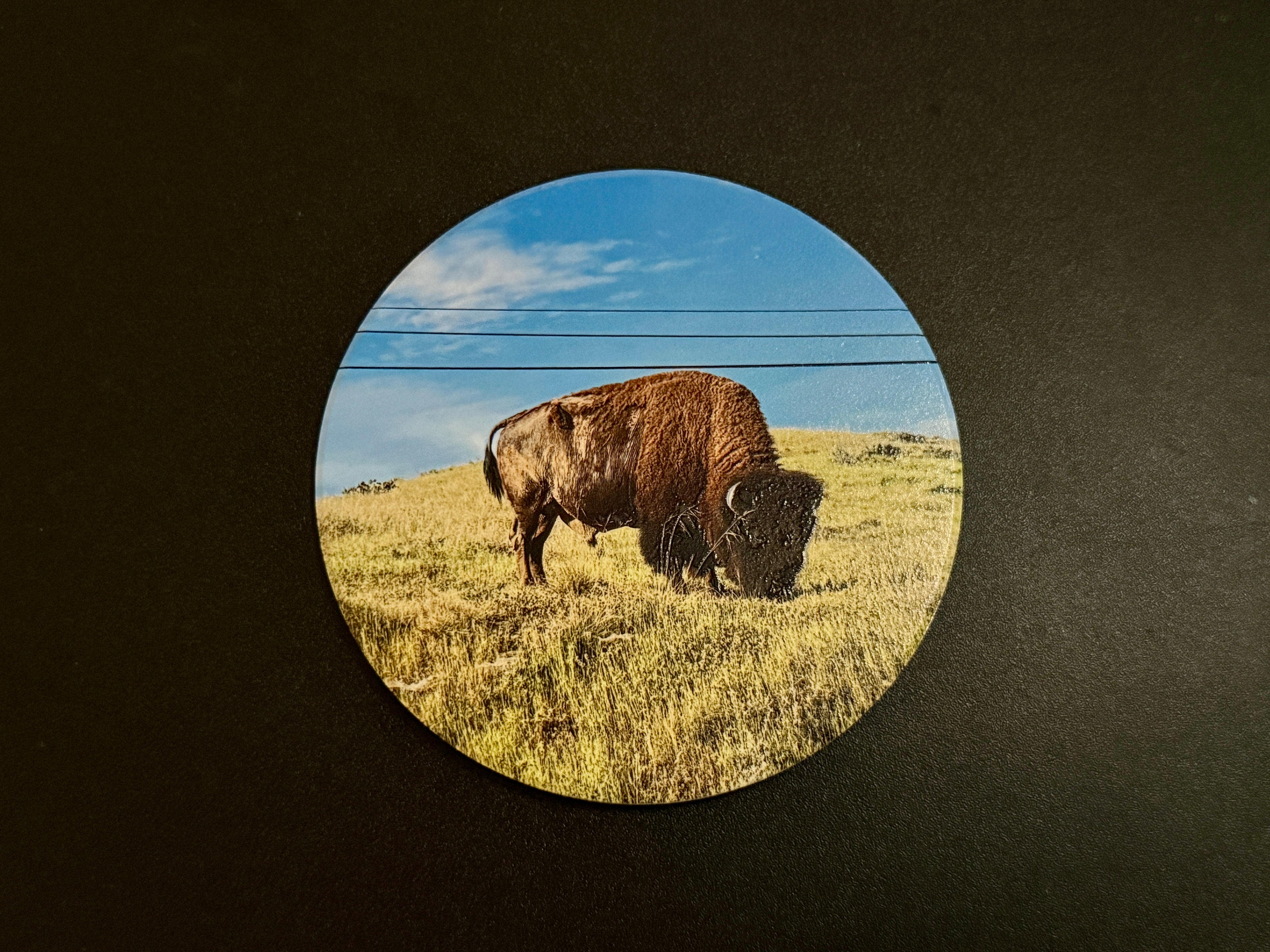 4" Ceramic Coaster - Bison