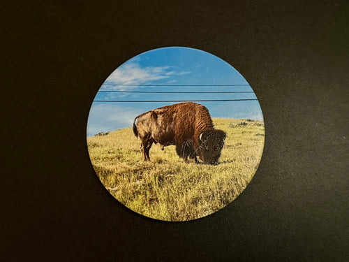 4" Ceramic Coaster - Bison