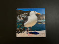 4" Ceramic Coaster - Seagull